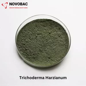 Trichoderma harzianum powder