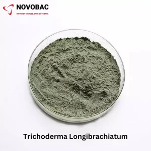 Trichoderma longibrachiatum powder