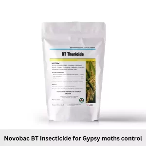 BT insecticide spray for gypsy moth control