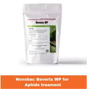  Novobac Beveria WP - Biological Insecticide for Aphid Control