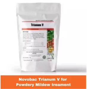 Trianum V Fungicide product for treating powdery mildew