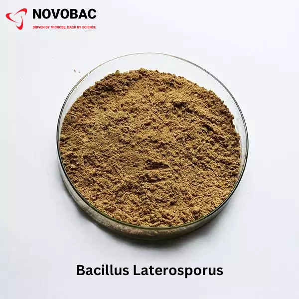 Brevibacillus Laterosporus Plant Growth Regulator and Fertilizer Additive Product Image