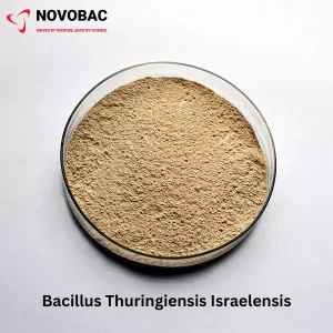 Beauveria Thuringiensis Israelensis powder