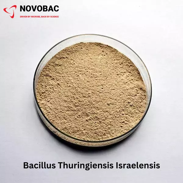 Bacillus thuringiensis israelensis Product Image