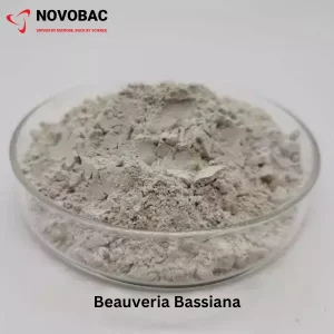 Beauveria Bassiana Product Image