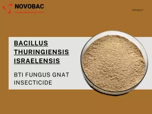 Image of BTI fungus gnat insecticide.