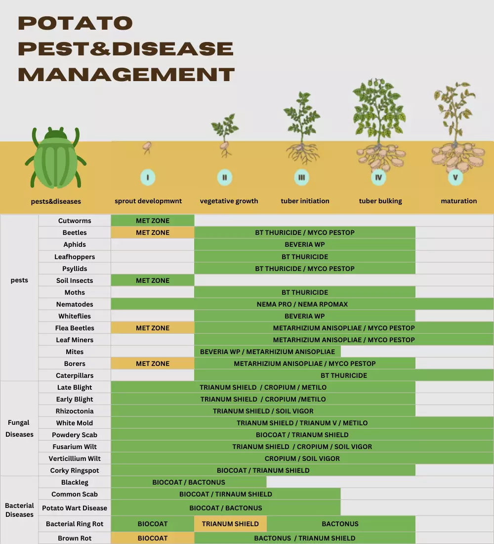 potato-pest-disease-management