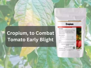 Image-of-Cropium-product-for-treating-Tomato-Early-Blight-displayed-against-white-background-with-label-showing-usage-instructions-and-ingredients.