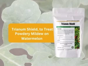 A-product-image-featuring-'Trianum Shield,'-a-solution-to-effectively-treat powdery-mildew-on-watermelon-plants.