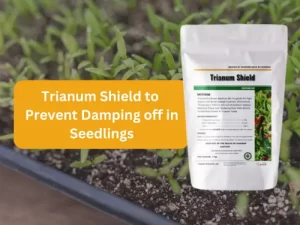 Trianum-Shield-damping-off-seedlings - A visual of Trianum Shield, a solution to combat damping off in seedlings