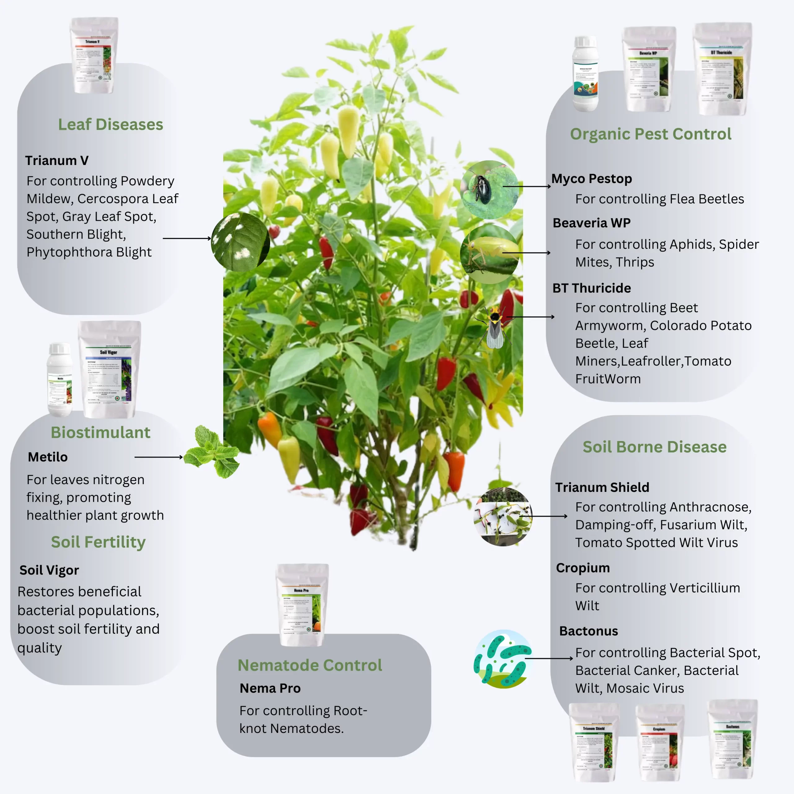 Illustration - of - a - healthy - pepper - plant - with - annotations - for - various - agricultural - products - and - their - purposes, - including - organic - pest - control, - soil - fertility, - leaf - diseases, - biostimulant, - soil - borne - disease, - and - nematode - control.