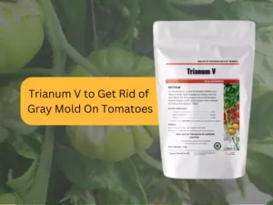 Package-Of-Trianum-V-Against-Blurry-Tomato-Plants,-Promising-Solution-For-Gray-Mold-On-Tomatoes.
