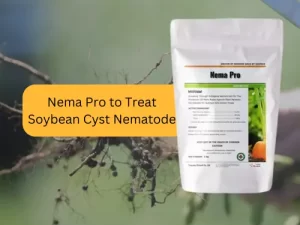 Nema-Pro-product-to-treat-Soybean-cyst-nematode.