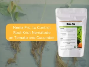 Pack-of-Nema-Pro-product-presented-for-controlling-root-knot-nematode-in-tomato-and-cucumber-plants-with-affected-roots-visible-in-the-background.