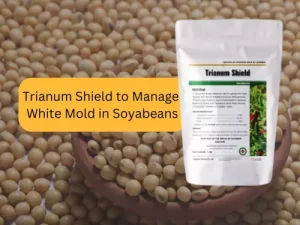 Trianum-Shield-product-used-for-treating-white-mold-in-soybeans