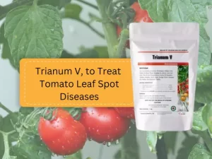 trianum-v-package-with-tomato-leaf-spot-diseases-label