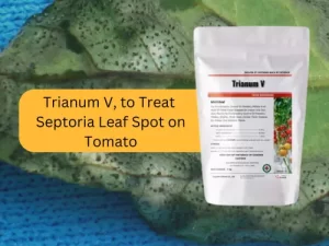Package-Of-Trianum-V-On-Infected-Tomato-Leaf-With-Text-Treat-Septoria-Leaf-Spot-Tomato.