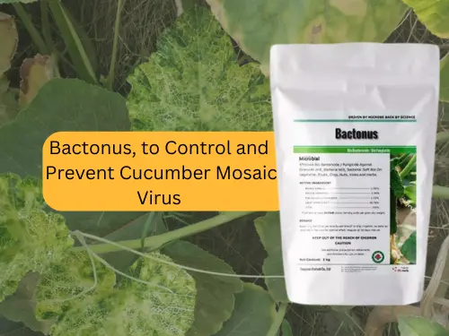 Packet-of-Bactonus-product-overlaid-on-cucumber-plant-background-with-text-'Bactonus,-to-Control-and-Prevent-Cucumber-Mosaic-Virus'