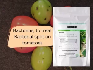 Bactonus-product-package-for-treating-bacterial-leaf-spot-on-tomatoes,-displayed-alongside-green-and-red-tomatoes.