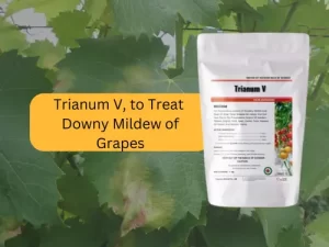 Trianum-V-to-treat-downy-mildew-grapes, featuring a product image with a background of green grapevine leaves.